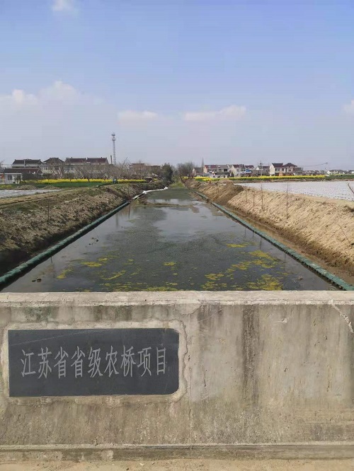 木樁施工3
